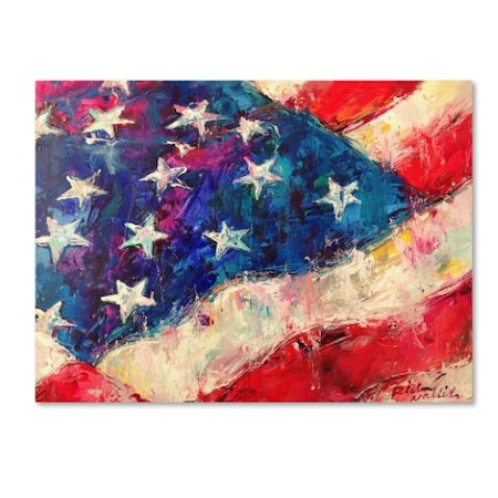 Richard Wallich 'Art Flag' Canvas Art,35x47